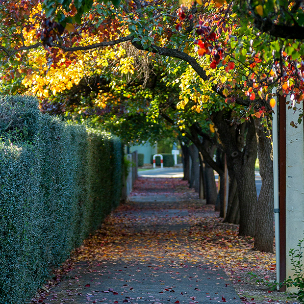 Property Buyers Agent South Australia