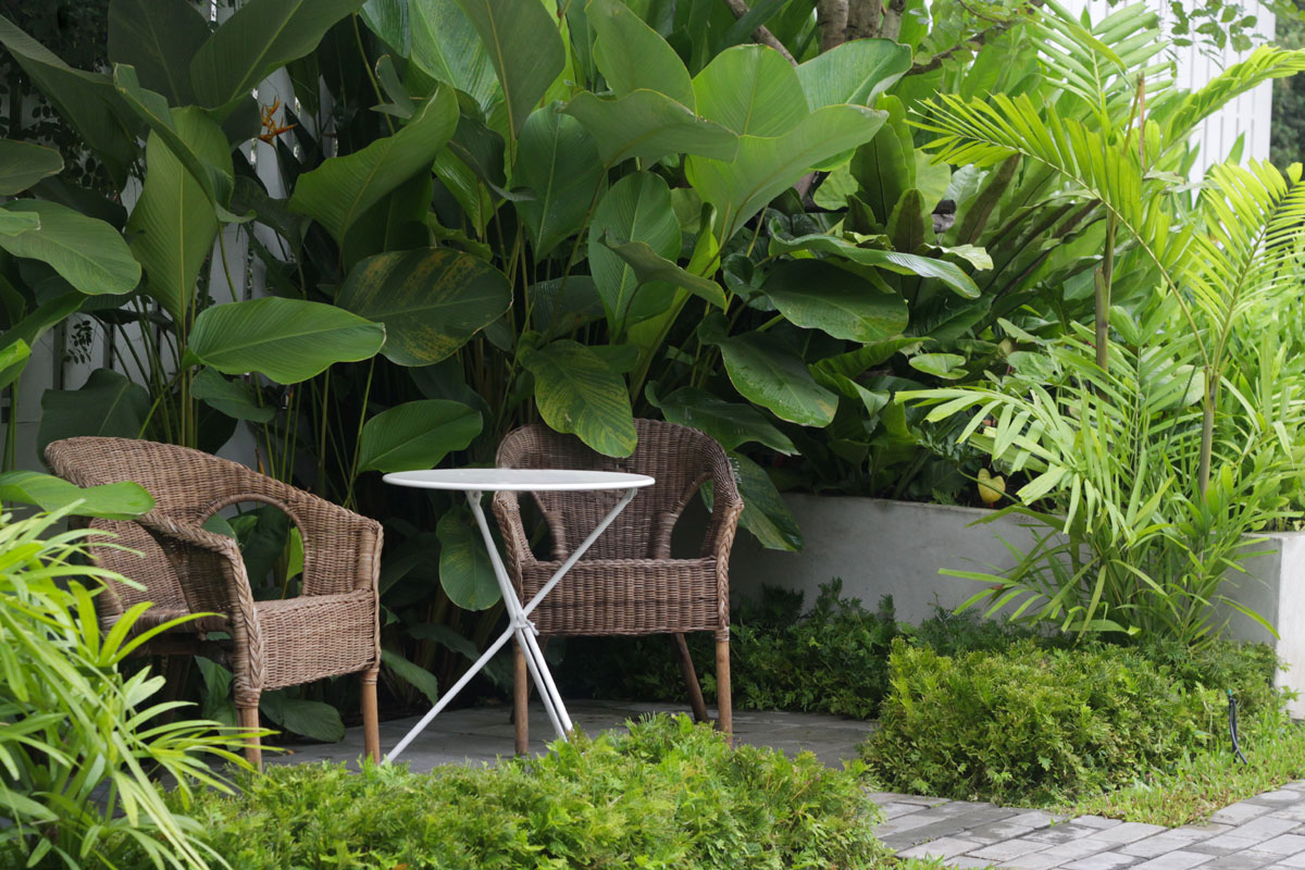 Home Buyers Property Package The Savvy Bidders