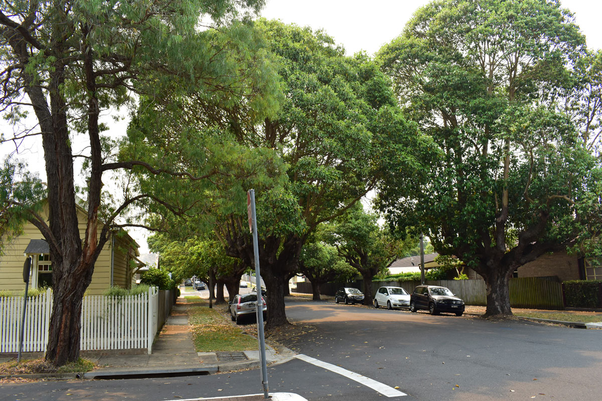 Inner West Sydney Property Buyers Agents The Savvy Bidders