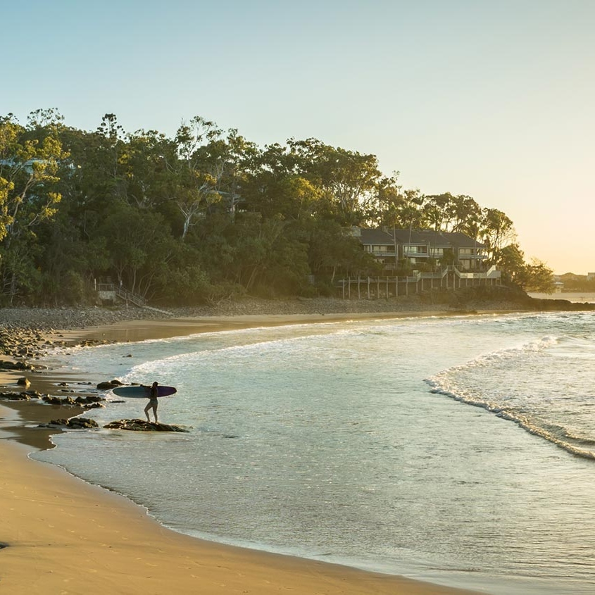 Noosa and The Sunshine Coast Property Buyers Agents The Savvy Bidders