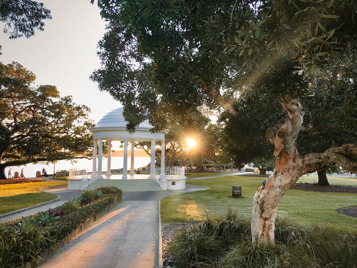 Lower North Shore Property Buyers Agents The Savvy Bidders