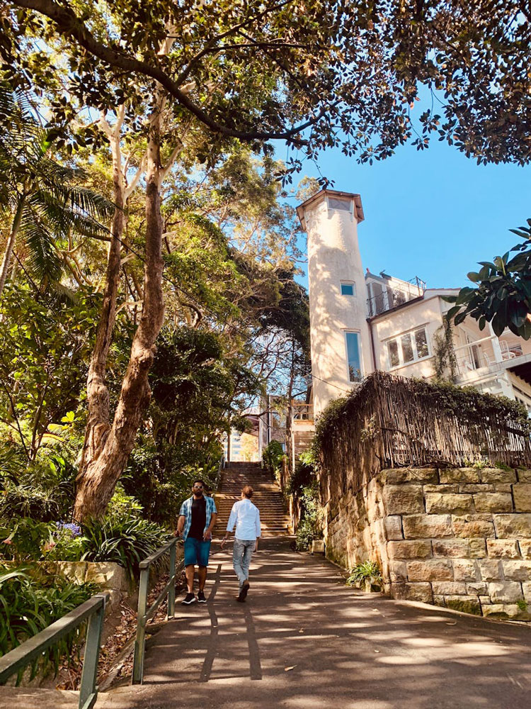 Lower North Shore Property Buyers Agents The Savvy Bidders
