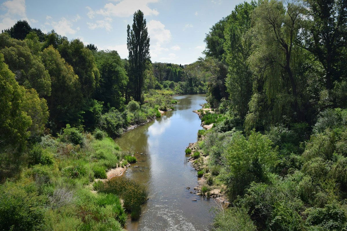 Southern Highlands Property Buyers Agents