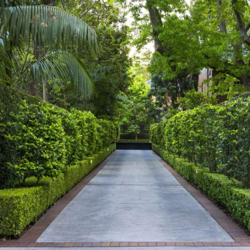 Upper North Shore Property Buyers Agents The Savvy Bidders