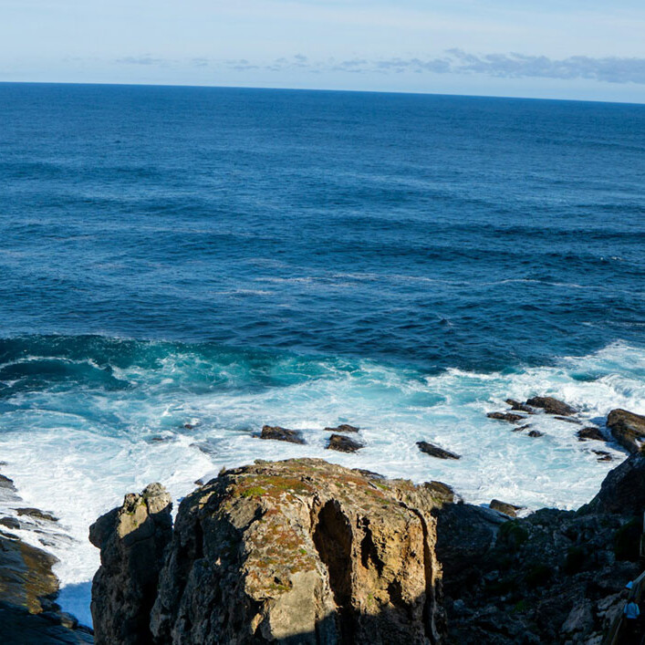 Adelaide Property Buyers Agents The Savvy Bidders