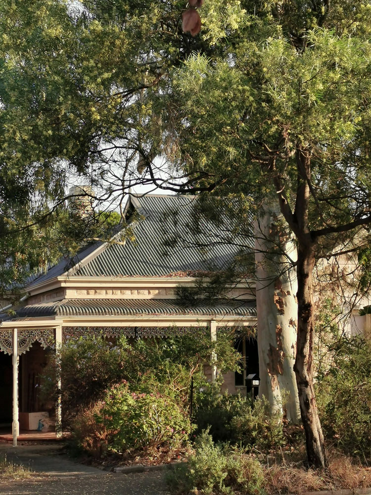 Adelaide Property Buyers Agents The Savvy Bidders