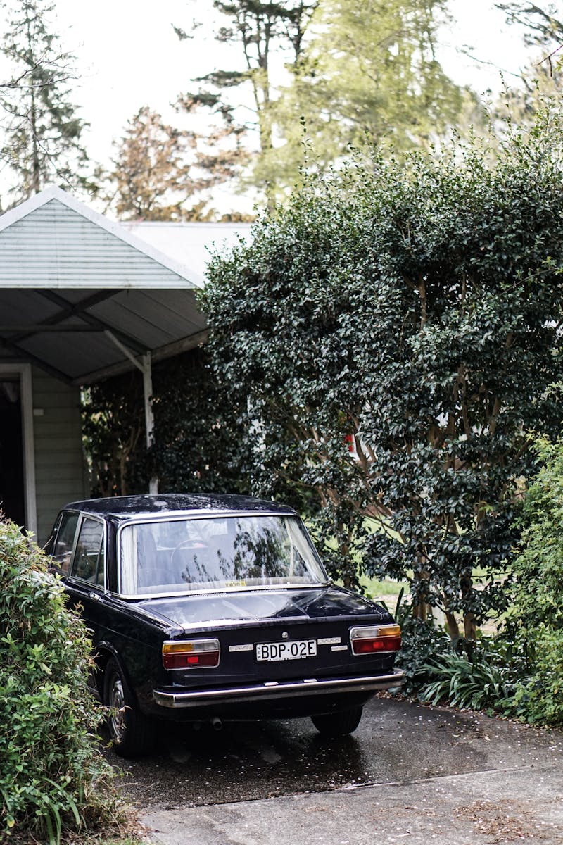 Blue Mountains Property Buyers Agents The Savvy Bidders