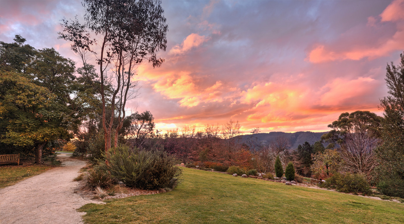 Blue Mountains Property Buyers Agents The Savvy Bidders