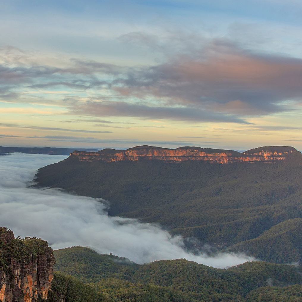 Blue Mountains Property Buyers Agents The Savvy Bidders