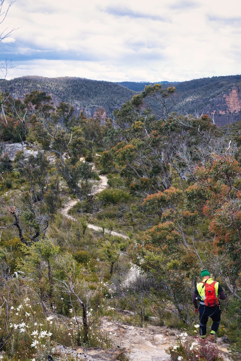 Blue Mountains Property Buyers Agents The Savvy Bidders