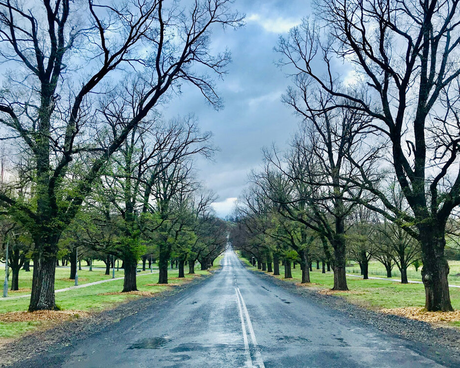 Country NSW Property Buyers Agents The Savvy Bidders