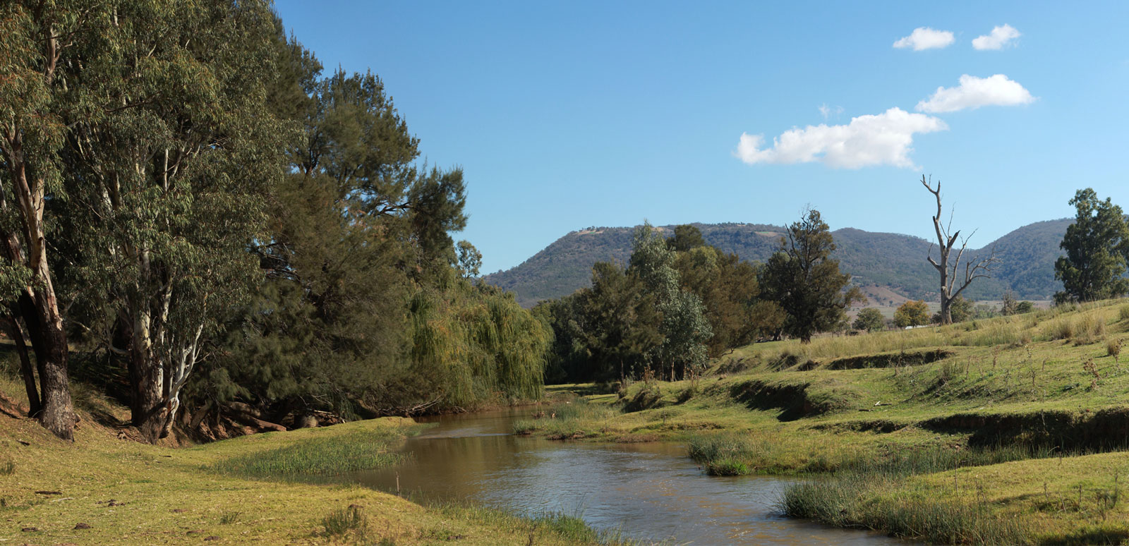 Country NSW Property Buyers Agents The Savvy Bidders