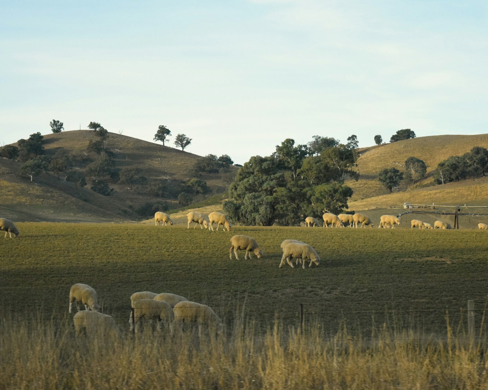 Country NSW Property Buyers Agents The Savvy Bidders