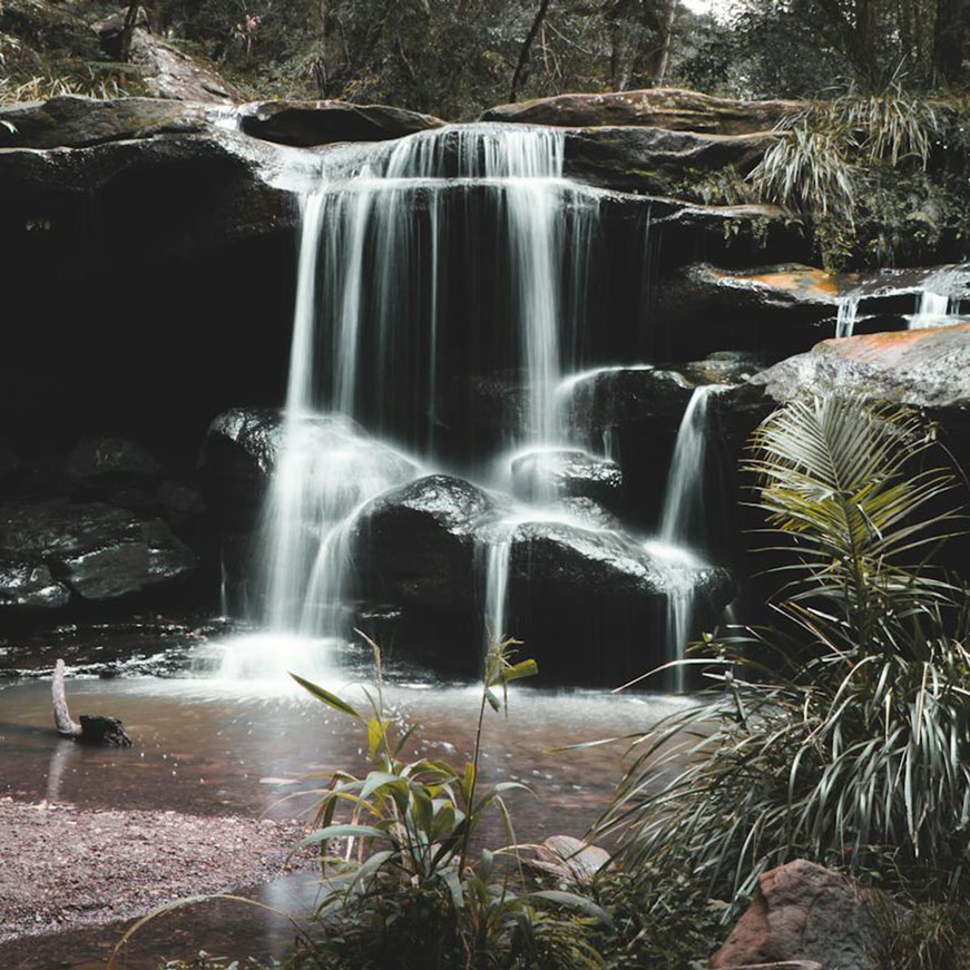 Hills District Property Buyers Agents The Savvy Bidders