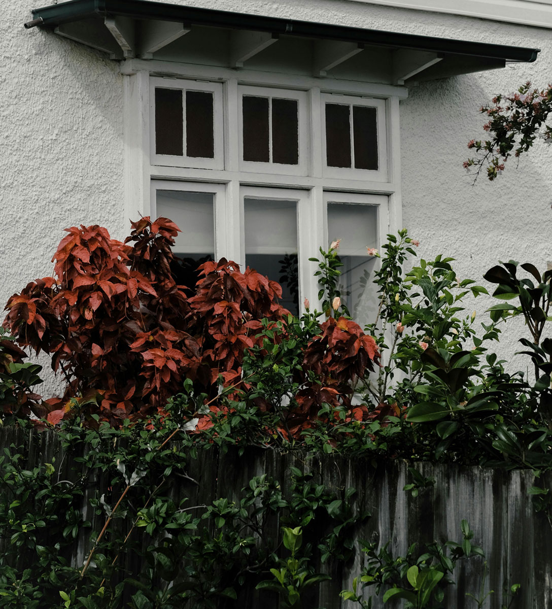 Local Property Buyers Agents The Savvy Bidders