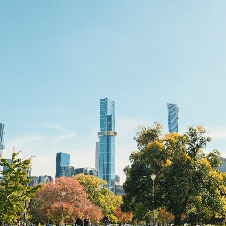 Melbourne Property Buyers Agents The Savvy Bidders