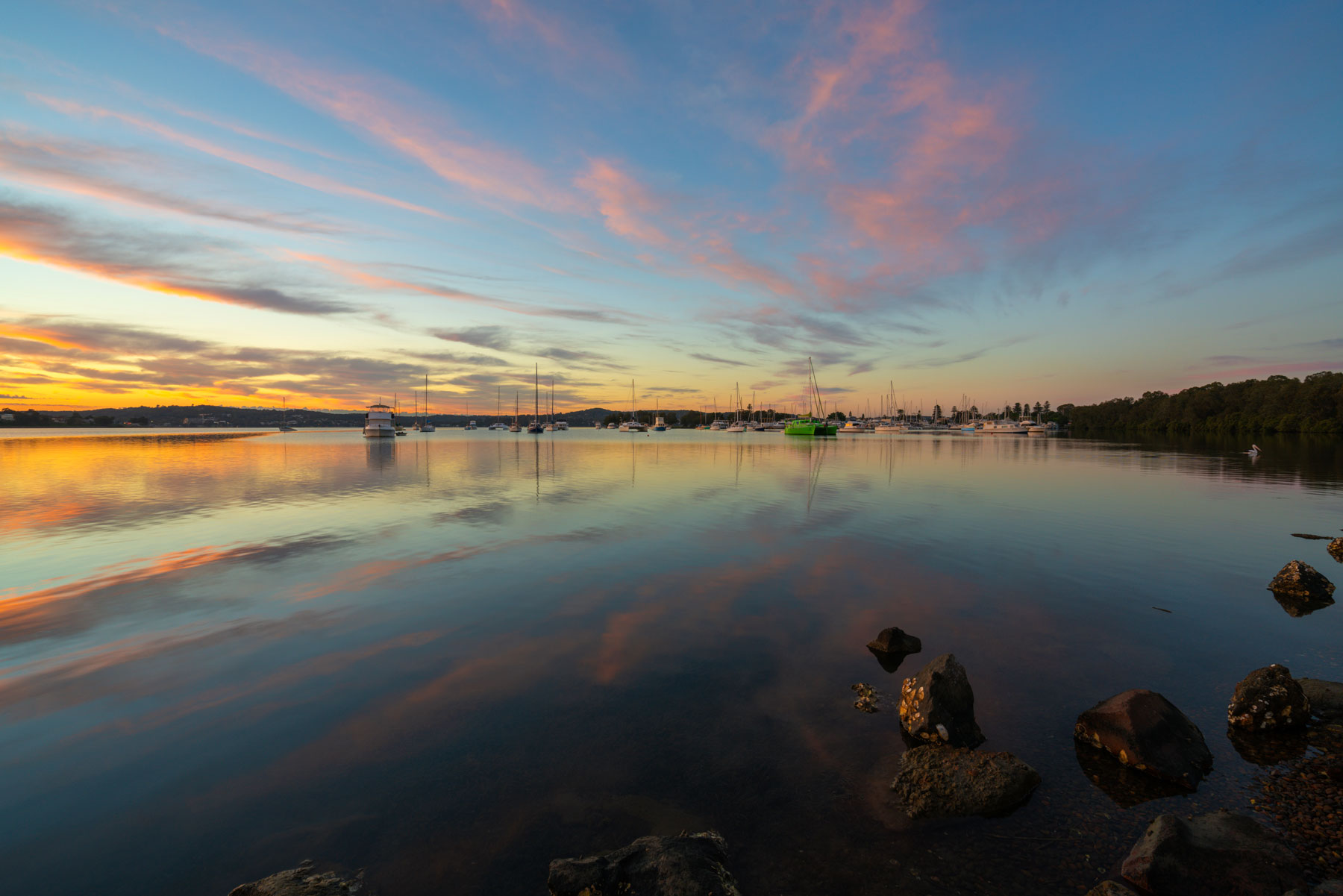 Newcastle Property Buyers Agents The Savvy Bidders