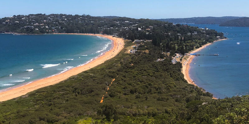Northern Beaches Property Buyers Agents The Savvy Bidders