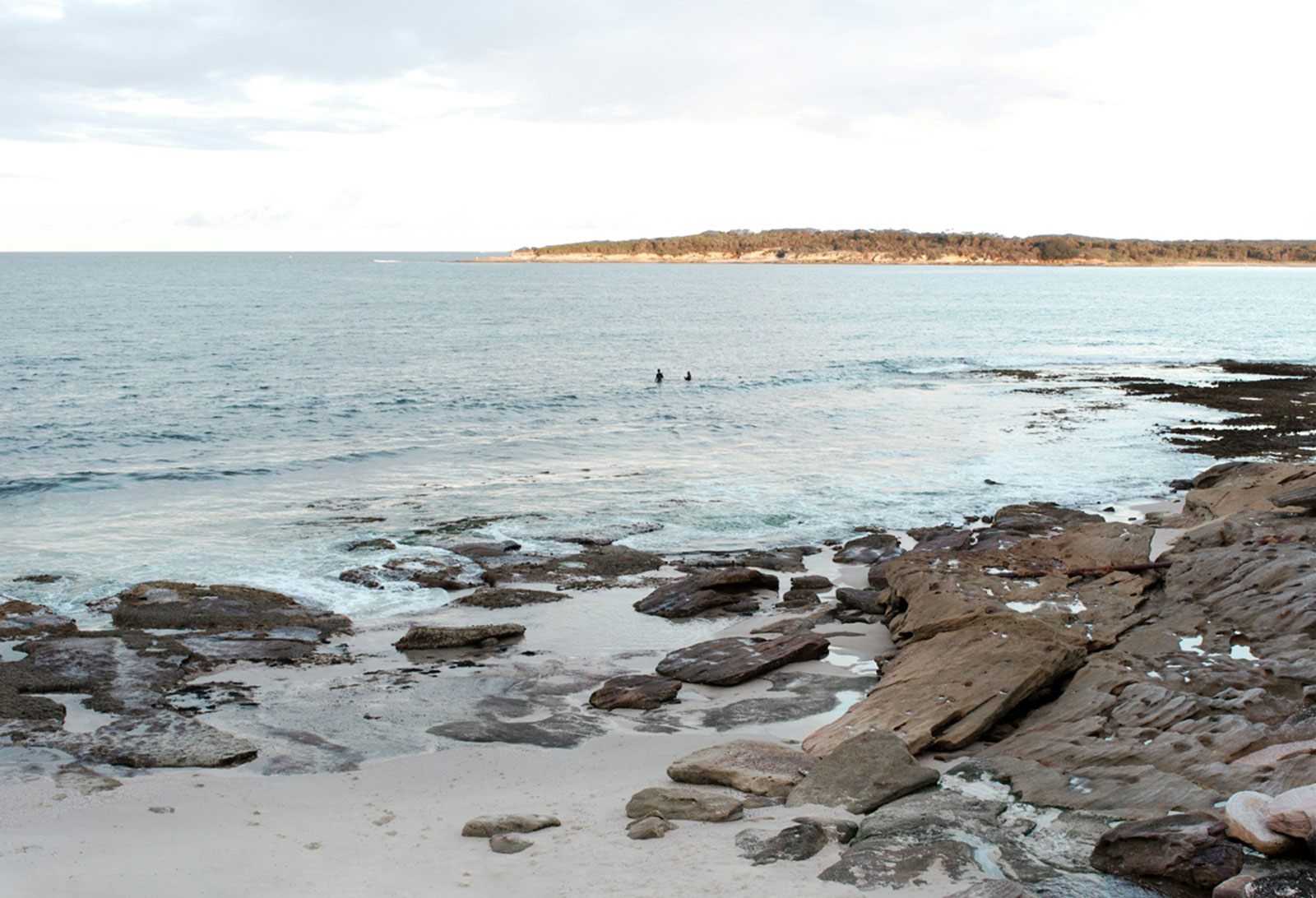 Sutherland Shire Property Buyers Agents The Savvy Bidders