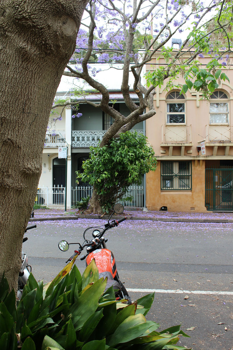 Sydney Property Buyers Agents The Savvy Bidders