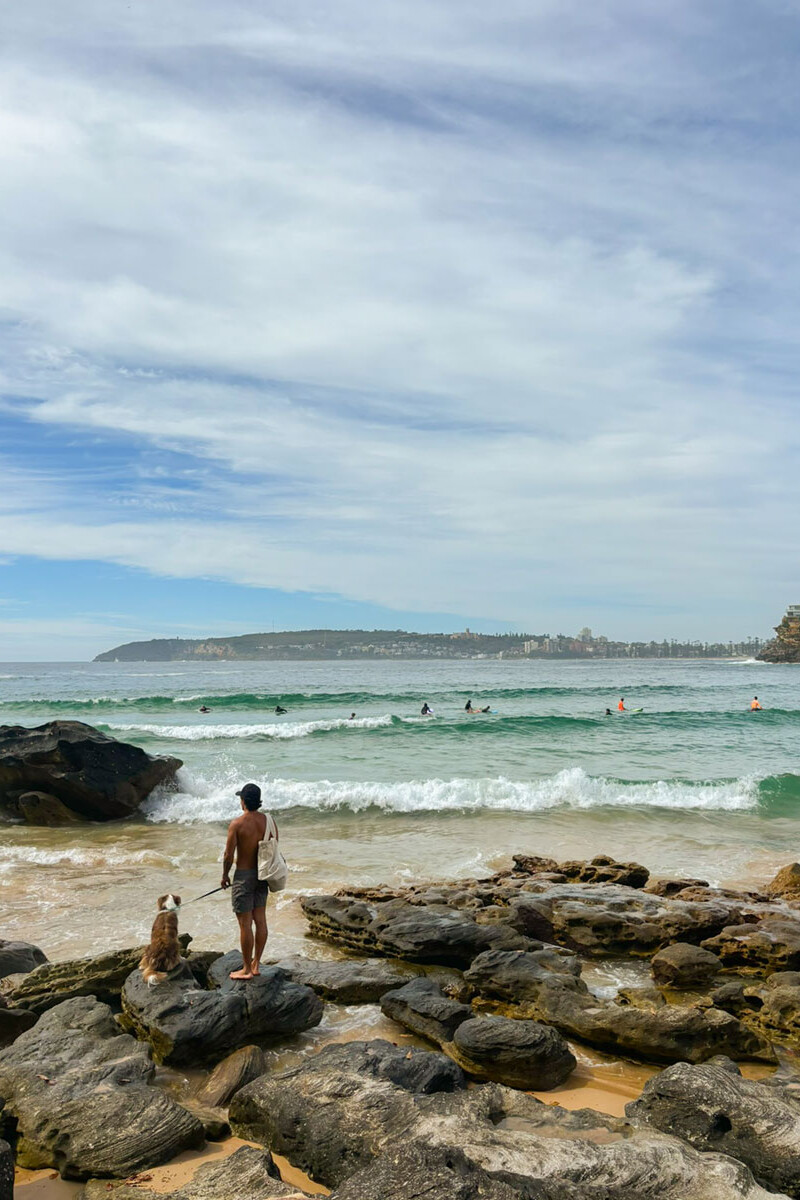 Northern Beaches Property Buyers Agents The Savvy Bidders