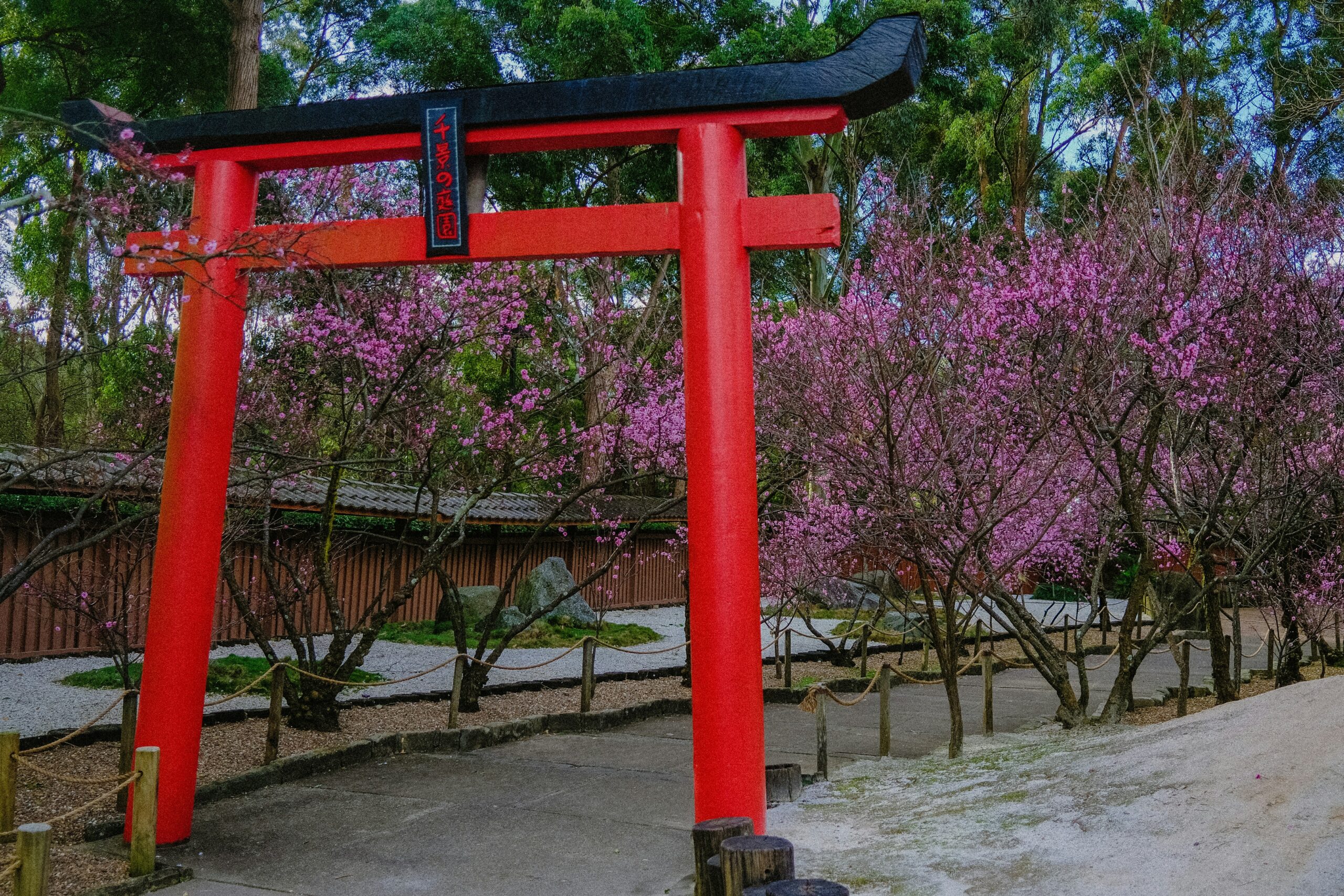 Western Sydney Property Buyers Agents The Savvy Bidders