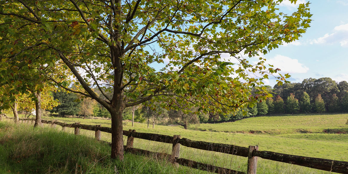 Southern Highlands Property Buyers