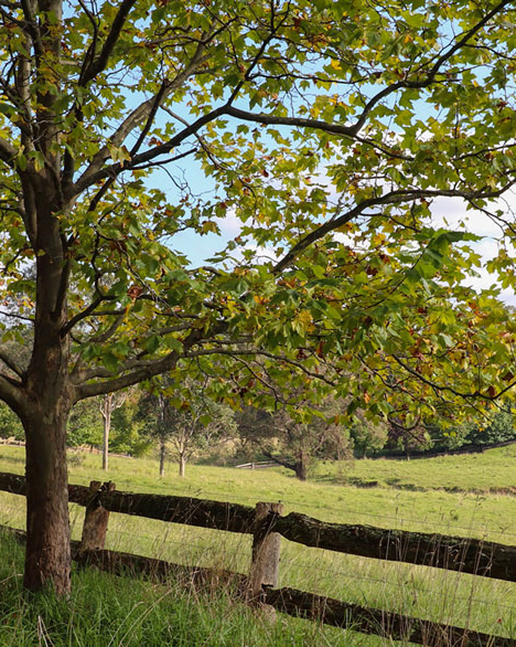Southern Highlands Property Buyers