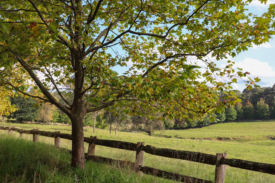 Southern Highlands Property Buyers