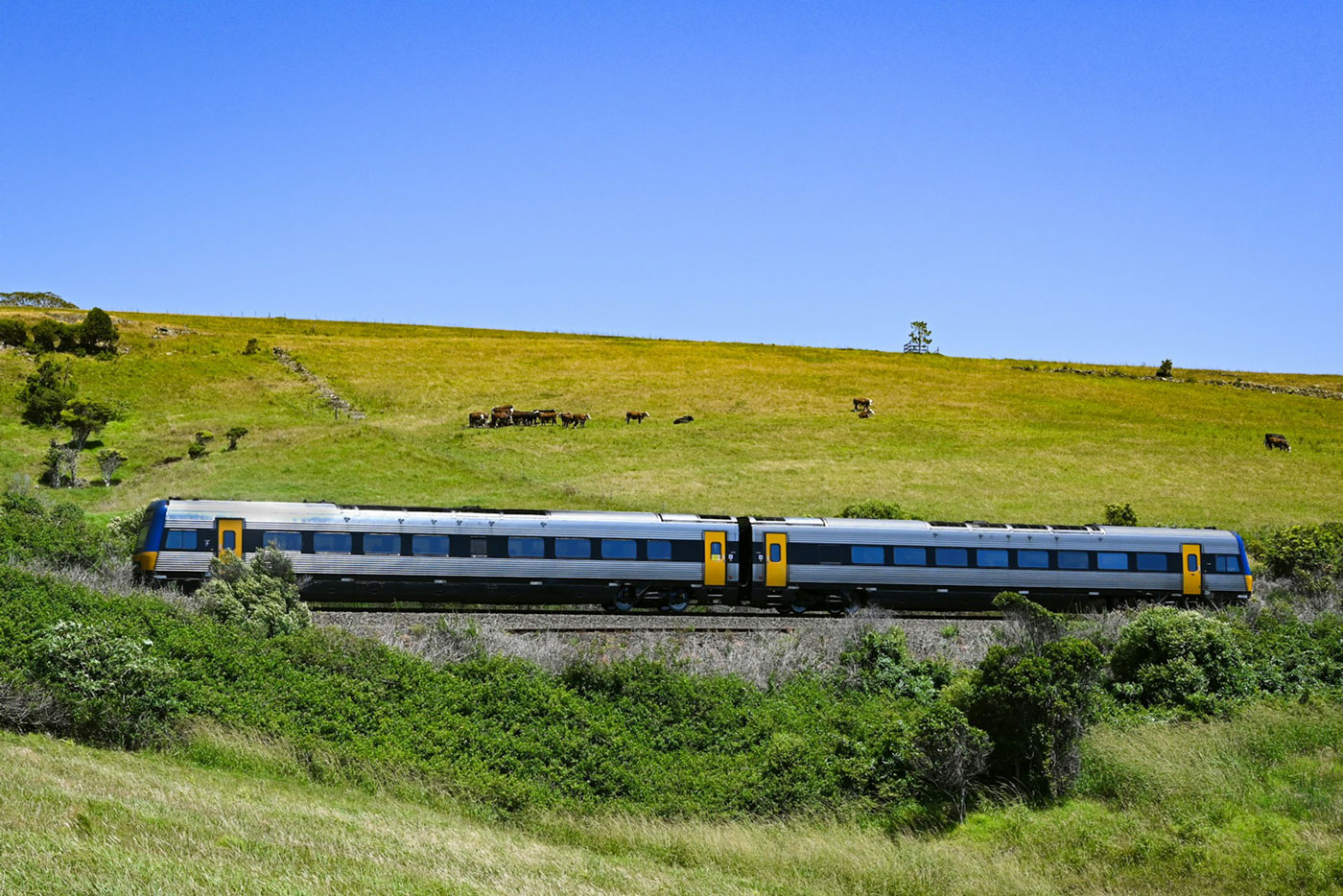 South Coast NSW Property Buyers