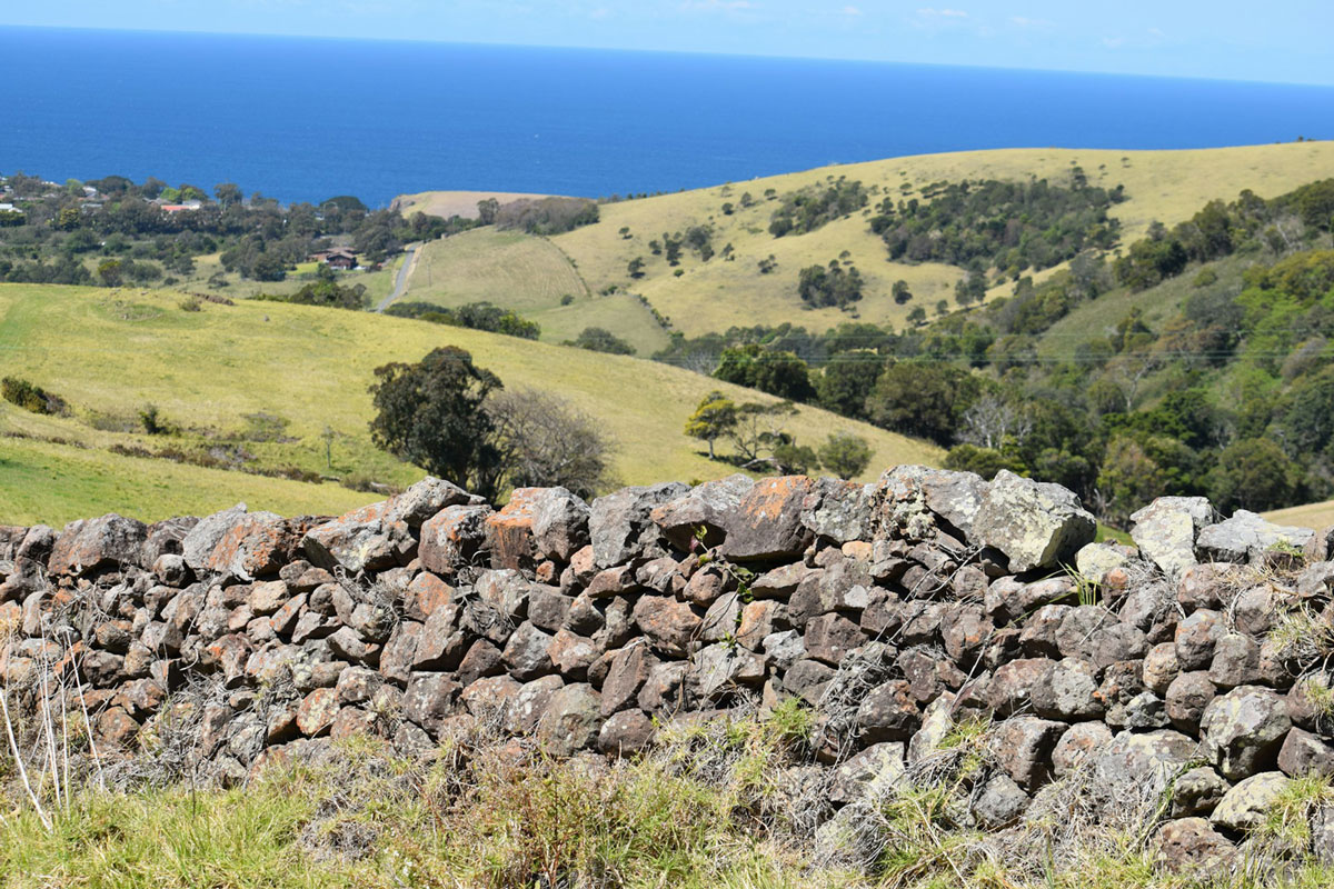 South Coast NSW Property Buyers