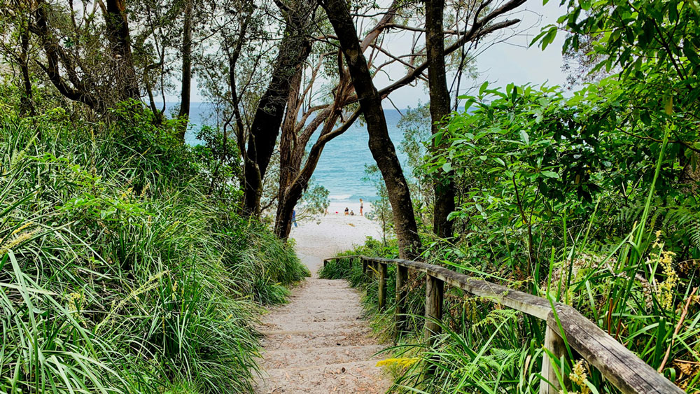 South Coast NSW Property Buyers