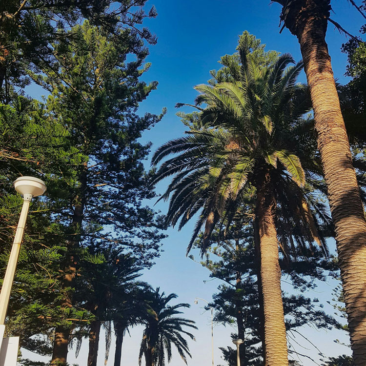 buyers agent sutherland shire