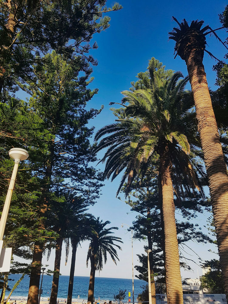 buyers agent sutherland shire